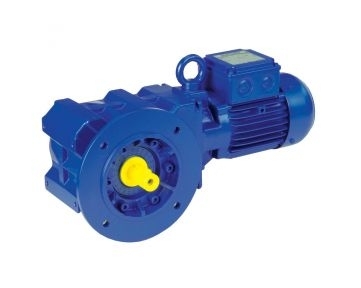 BK Series Gear Motor